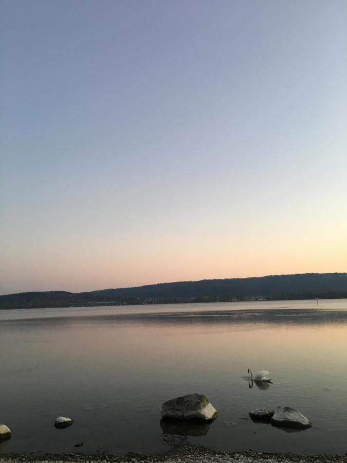Im Zentrum Radolfzell am Bodensee
